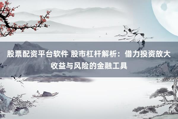 股票配资平台软件 股市杠杆解析：借力投资放大收益与风险的金融工具