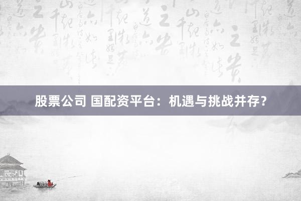 股票公司 国配资平台：机遇与挑战并存？