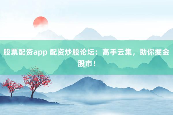 股票配资app 配资炒股论坛：高手云集，助你掘金股市！