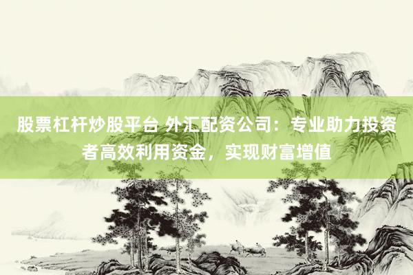 股票杠杆炒股平台 外汇配资公司：专业助力投资者高效利用资金，实现财富增值