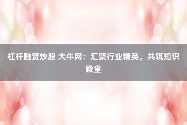 杠杆融资炒股 大牛网：汇聚行业精英，共筑知识殿堂