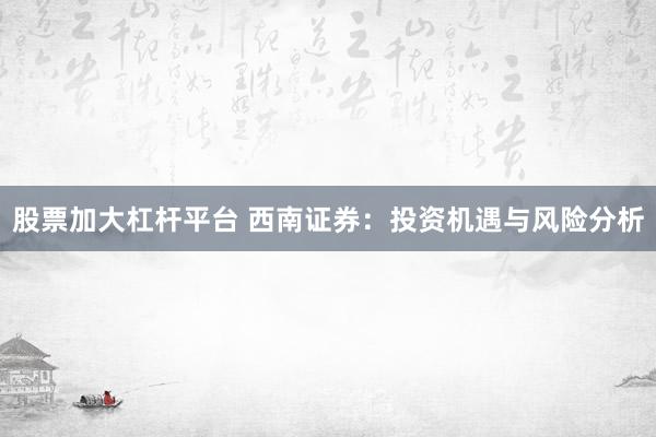 股票加大杠杆平台 西南证券：投资机遇与风险分析