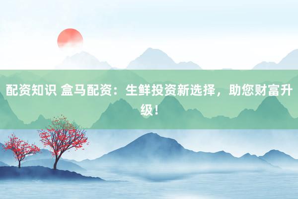配资知识 盒马配资:生鲜投资新选择,助您财富升级!