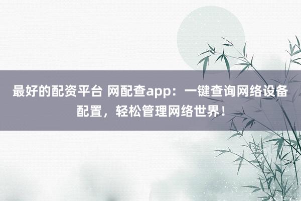 最好的配资平台 网配查app：一键查询网络设备配置，轻松管理网络世界！