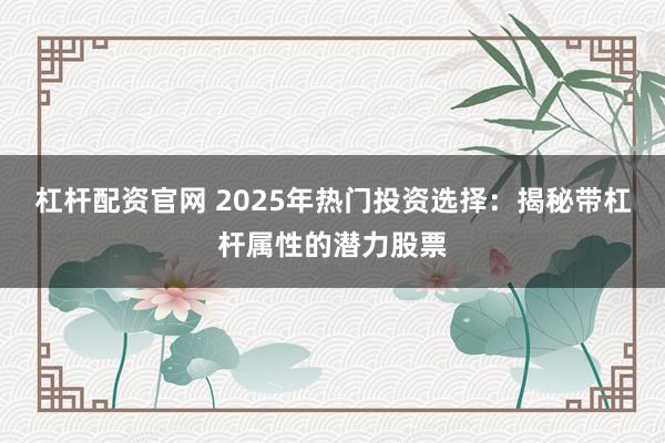 杠杆配资官网 2025年热门投资选择：揭秘带杠杆属性的潜力股票
