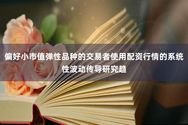 偏好小市值弹性品种的交易者使用配资行情的系统性波动传导研究趋