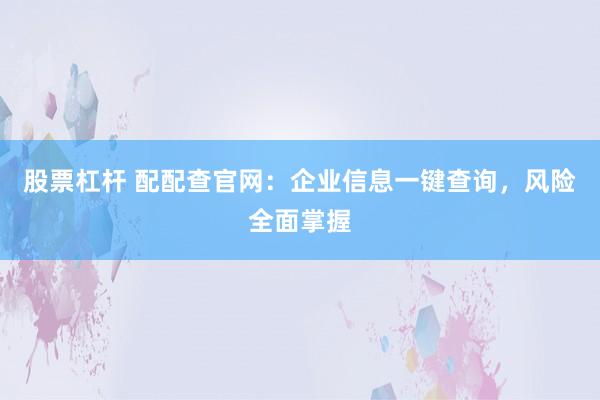 股票杠杆 配配查官网：企业信息一键查询，风险全面掌握