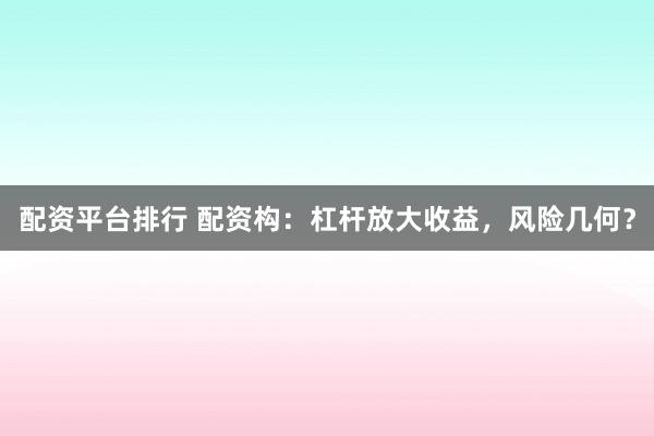 配资平台排行 配资构：杠杆放大收益，风险几何？