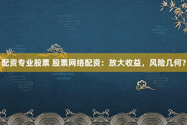 配资专业股票 股票网络配资：放大收益，风险几何？